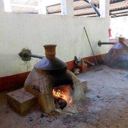 Mangaal Farmstay Goa Vichondrem المظهر الخارجي الصورة