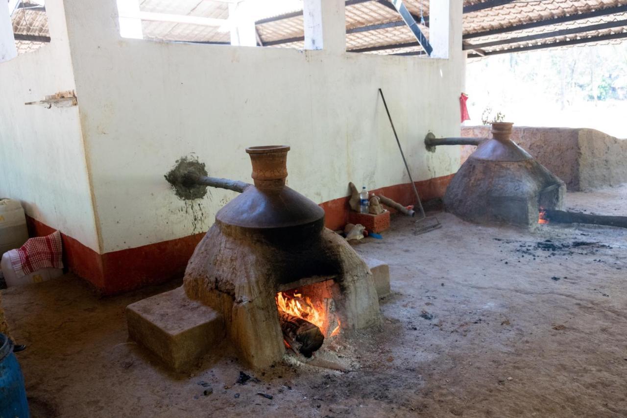 Mangaal Farmstay Goa Vichondrem المظهر الخارجي الصورة
