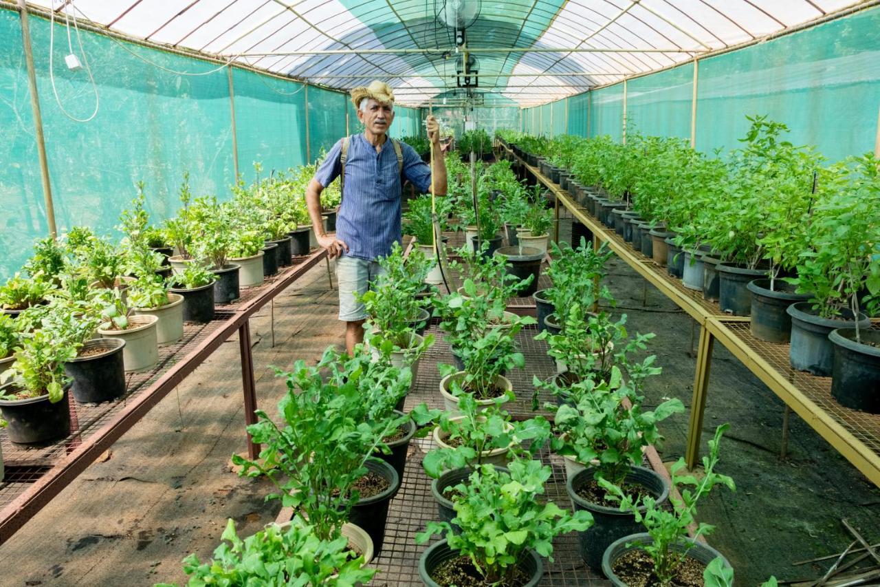 Mangaal Farmstay Goa Vichondrem المظهر الخارجي الصورة