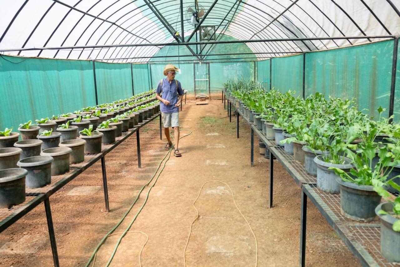Mangaal Farmstay Goa Vichondrem المظهر الخارجي الصورة