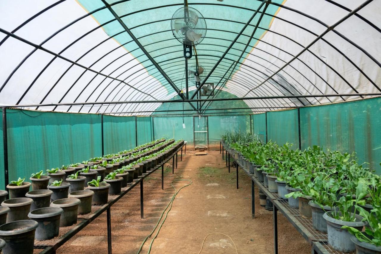 Mangaal Farmstay Goa Vichondrem المظهر الخارجي الصورة