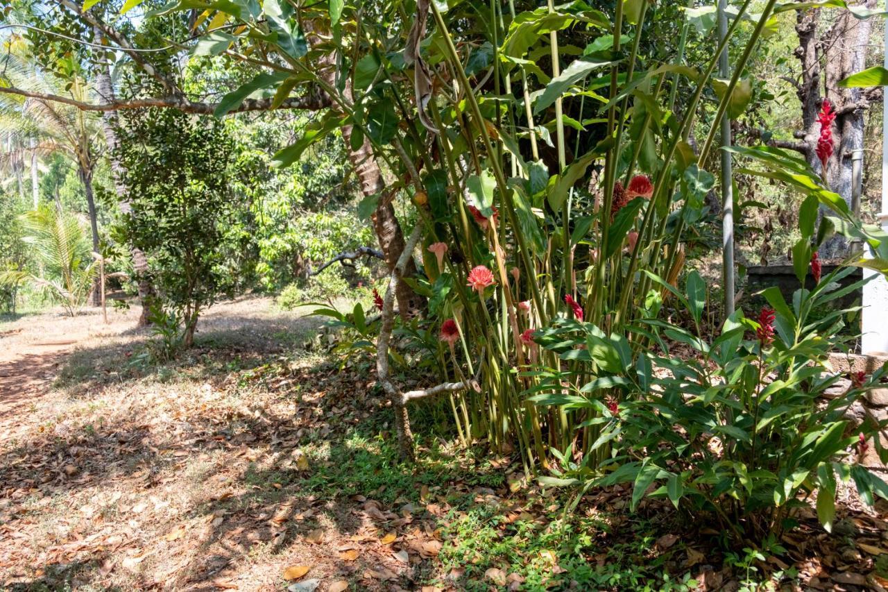 Mangaal Farmstay Goa Vichondrem المظهر الخارجي الصورة