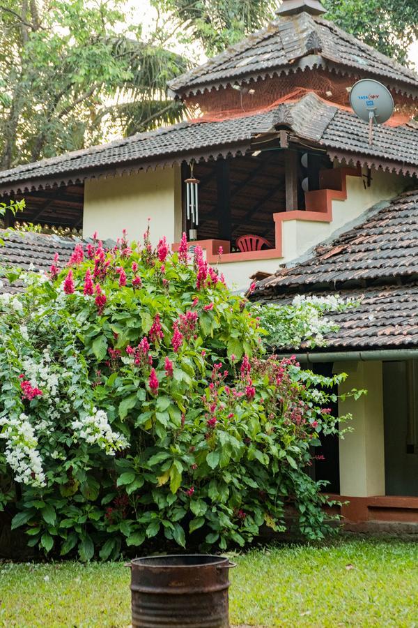 Mangaal Farmstay Goa Vichondrem المظهر الخارجي الصورة