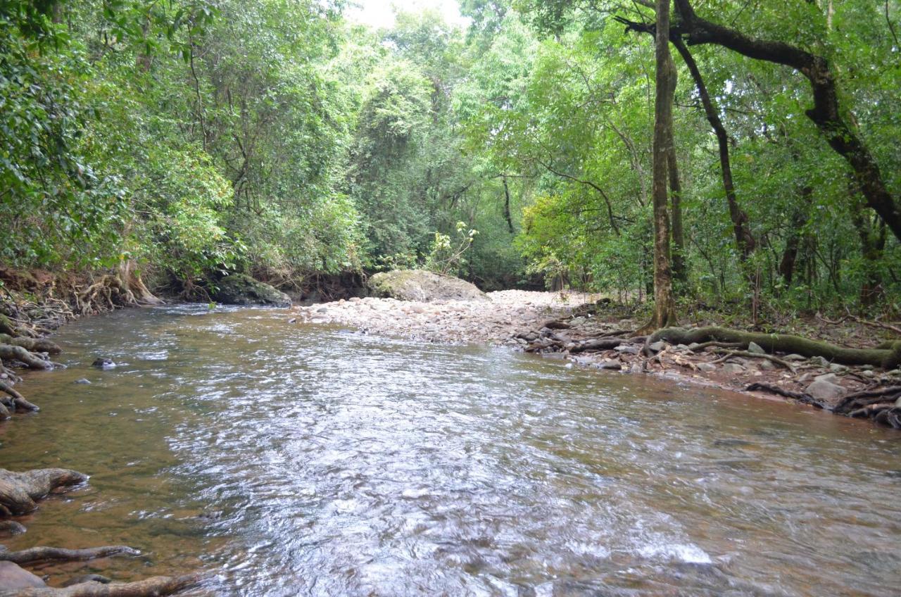Mangaal Farmstay Goa Vichondrem المظهر الخارجي الصورة