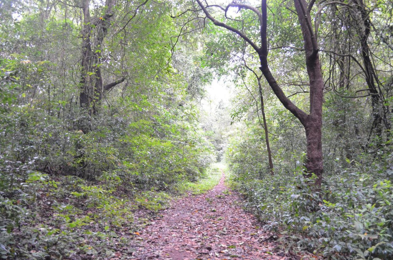 Mangaal Farmstay Goa Vichondrem المظهر الخارجي الصورة