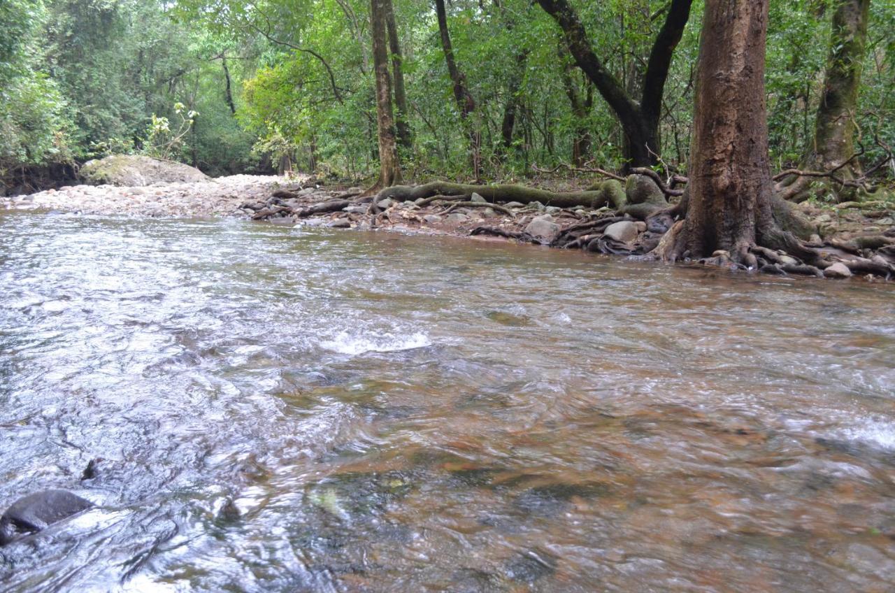 Mangaal Farmstay Goa Vichondrem المظهر الخارجي الصورة