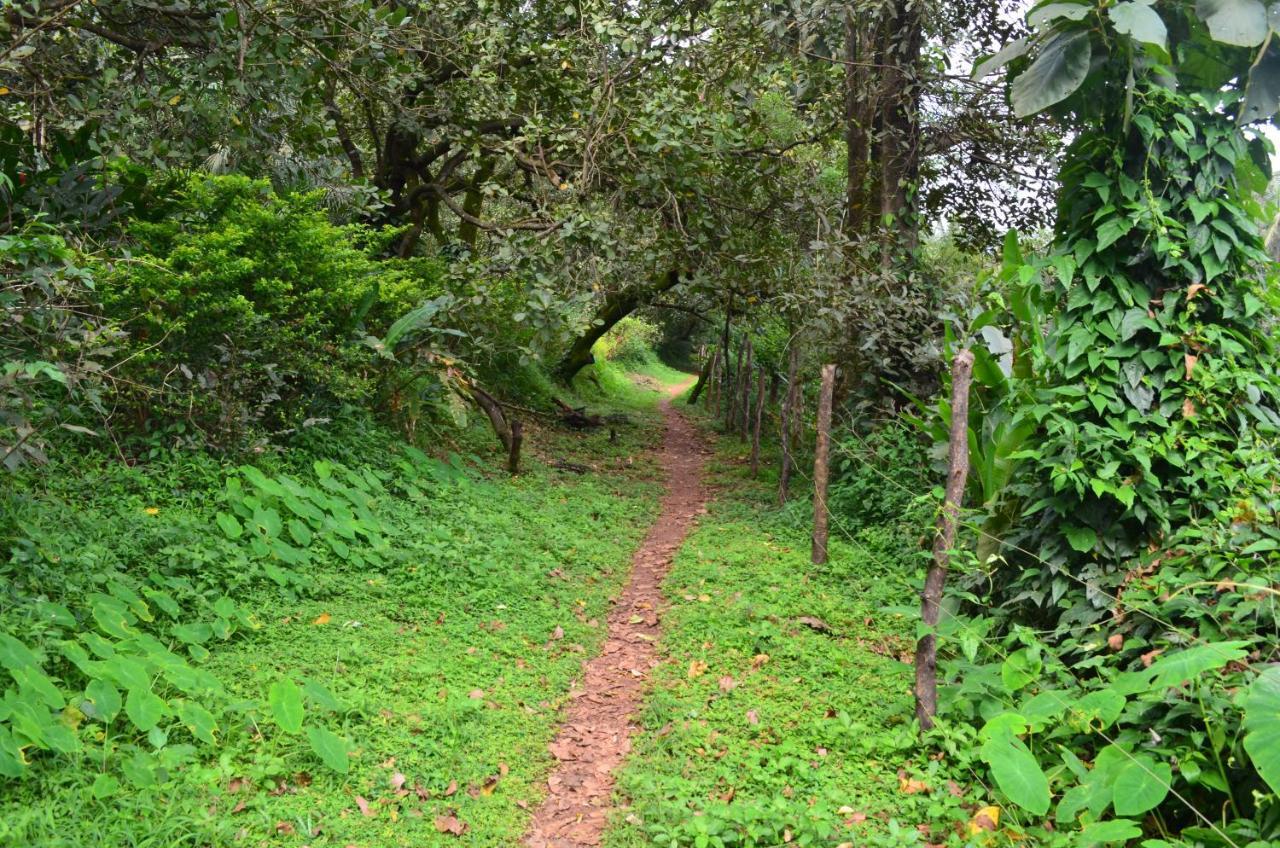 Mangaal Farmstay Goa Vichondrem المظهر الخارجي الصورة